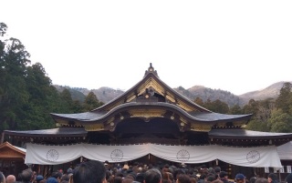 弥彦神社 本殿