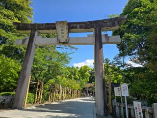 学生時代にお祭りのバイトをしたこともあった、武田神社。